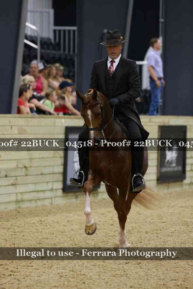 Proof 22BUCK_04518