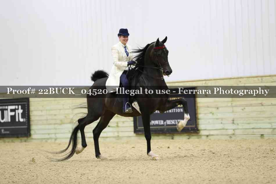Proof 22BUCK_04520