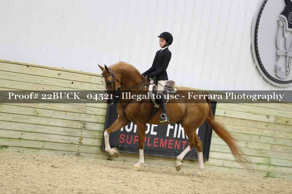 Proof 22BUCK_04521