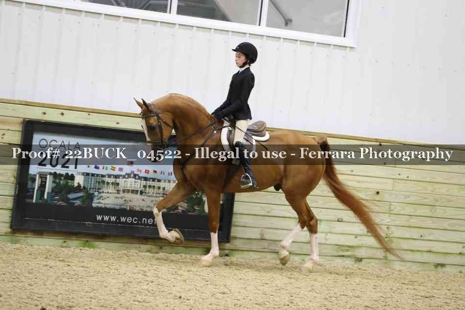 Proof 22BUCK_04522