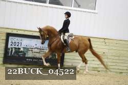 22BUCK_04522 proof