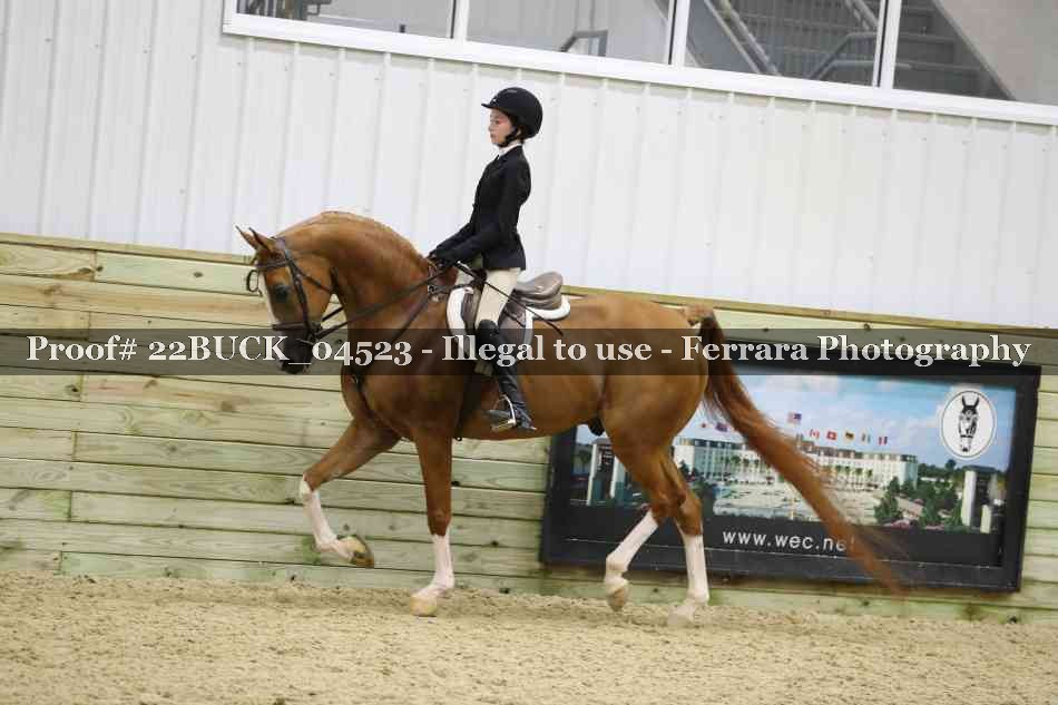 Proof 22BUCK_04523