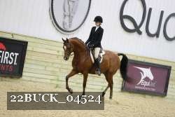 22BUCK_04524 proof