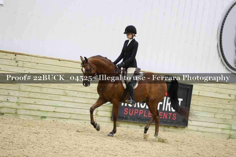Proof 22BUCK_04525