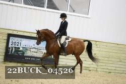 22BUCK_04526 proof