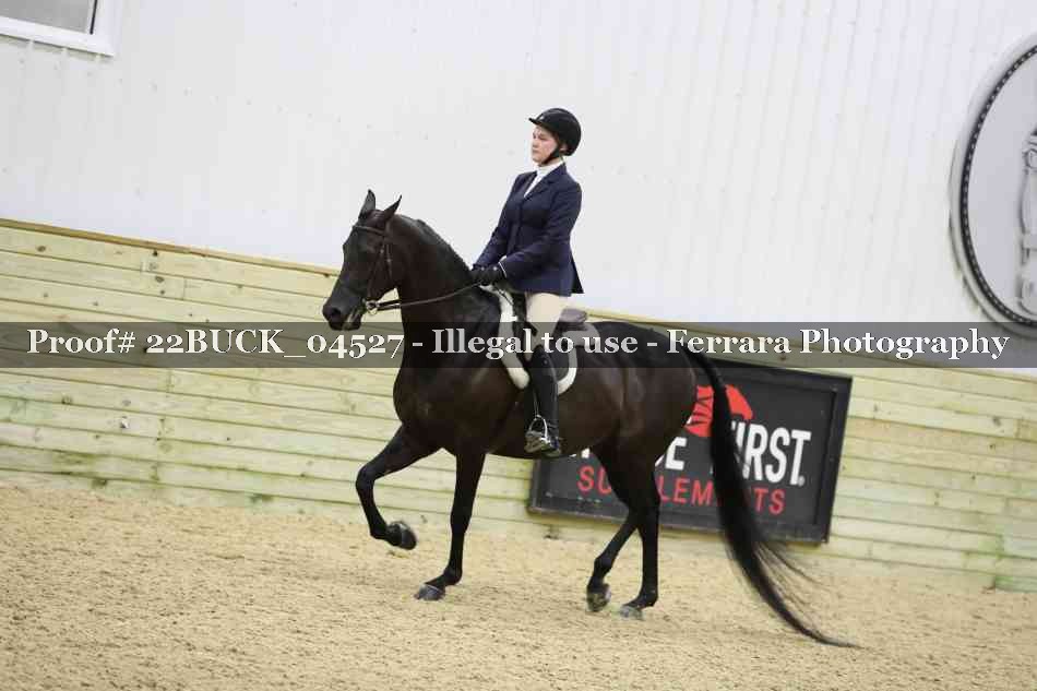 Proof 22BUCK_04527