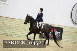22BUCK_04527 proof