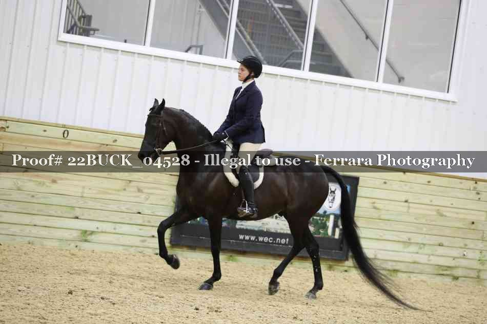 Proof 22BUCK_04528