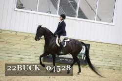 22BUCK_04528 proof