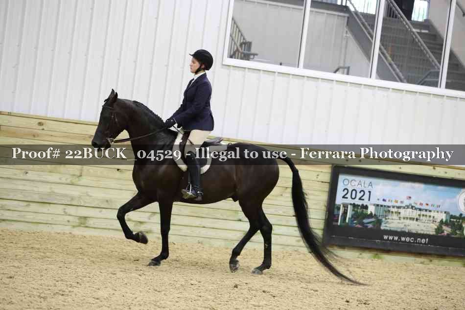 Proof 22BUCK_04529