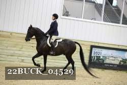 22BUCK_04529 proof