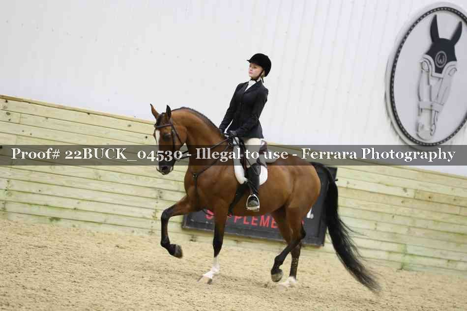 Proof 22BUCK_04530