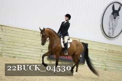 22BUCK_04530 proof
