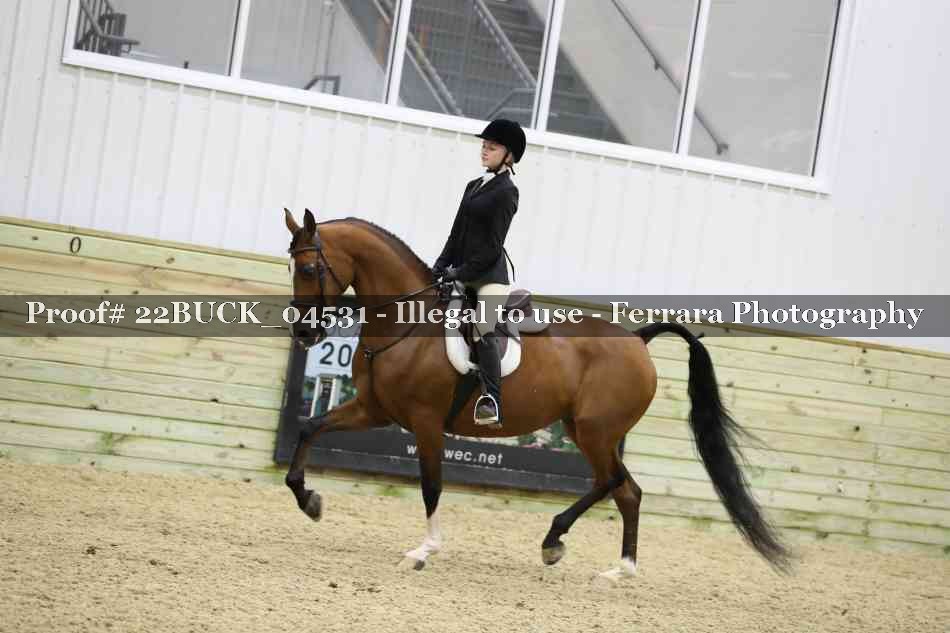 Proof 22BUCK_04531