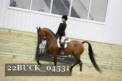 22BUCK_04531 proof
