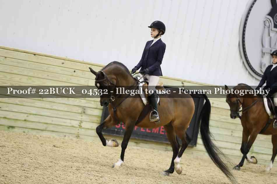 Proof 22BUCK_04532