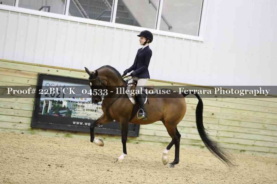 Proof 22BUCK_04533