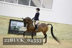 22BUCK_04533 proof