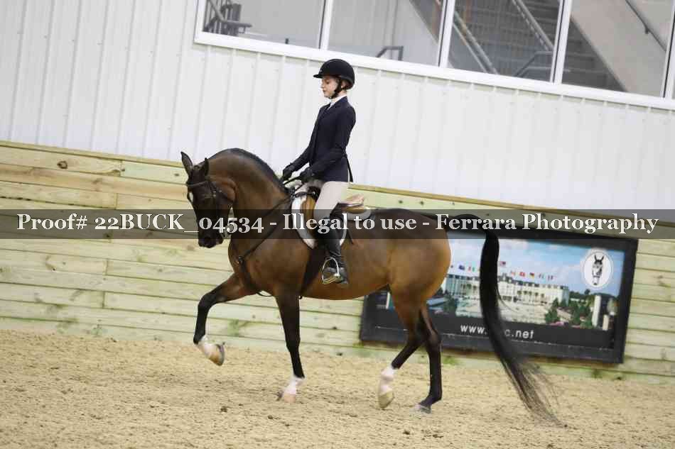 Proof 22BUCK_04534