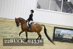 22BUCK_04536 proof