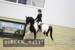 22BUCK_04537 proof
