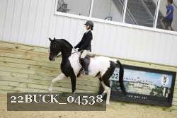 22BUCK_04538 proof