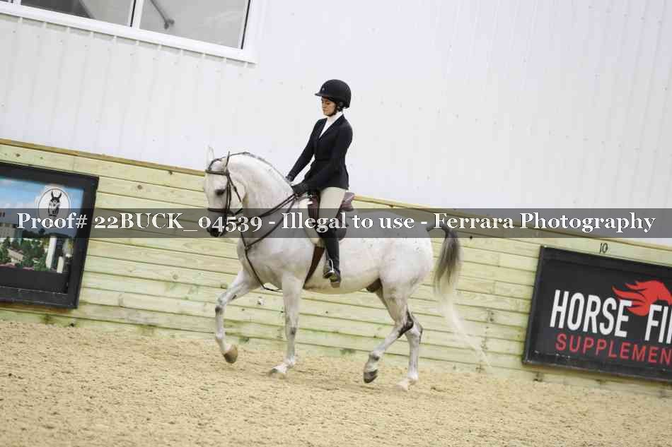 Proof 22BUCK_04539