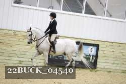 22BUCK_04540 proof