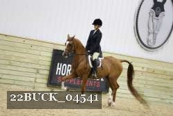 22BUCK_04541 proof