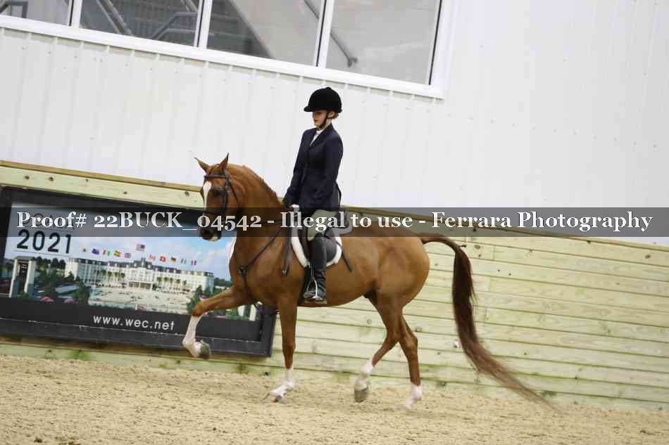 Proof 22BUCK_04542