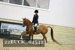 22BUCK_04542 proof