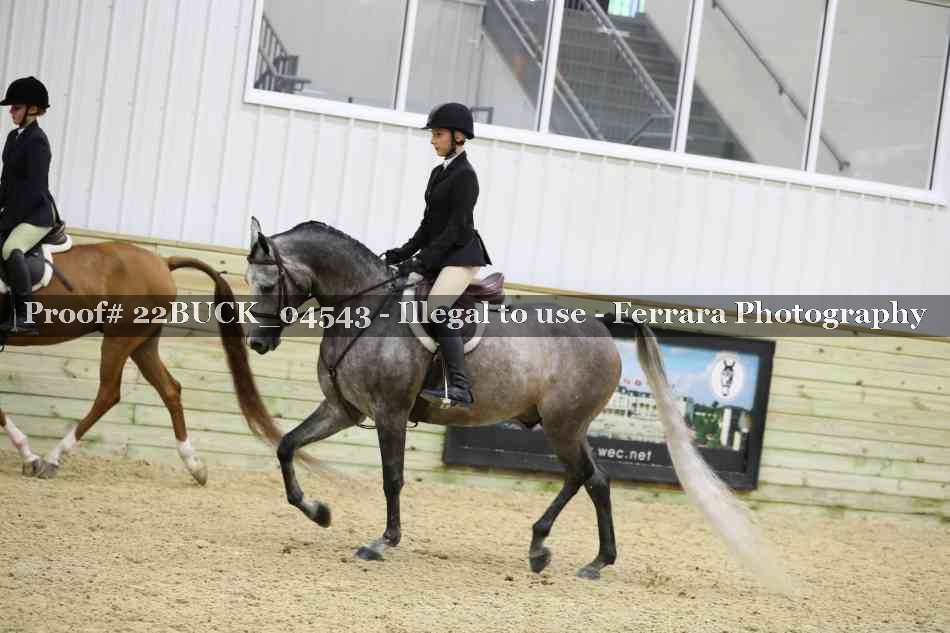 Proof 22BUCK_04543