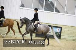 22BUCK_04543 proof