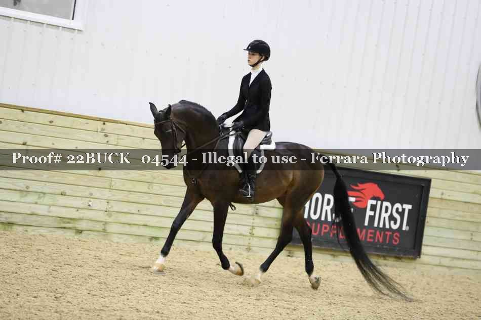 Proof 22BUCK_04544