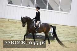 22BUCK_04546 proof