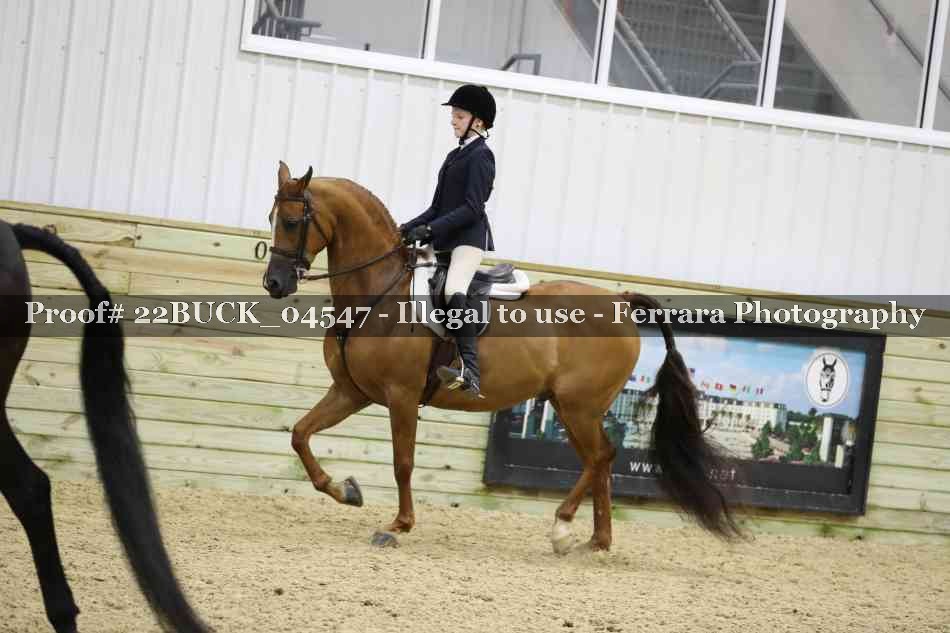 Proof 22BUCK_04547