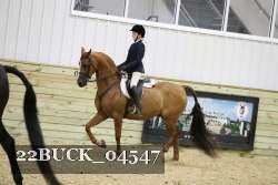 22BUCK_04547 proof