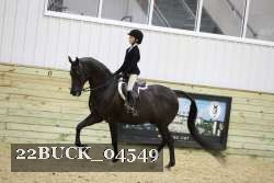 22BUCK_04549 proof
