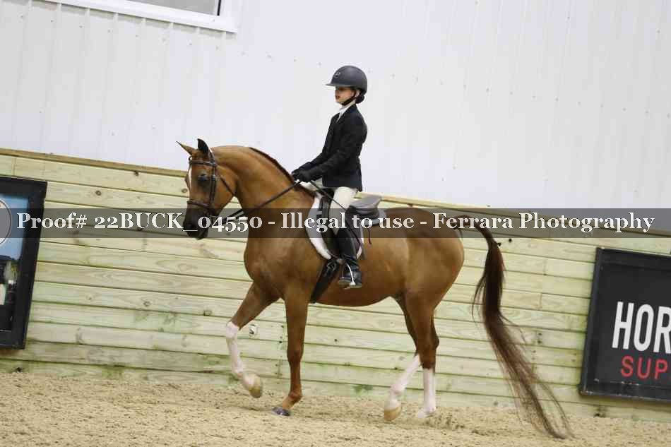 Proof 22BUCK_04550