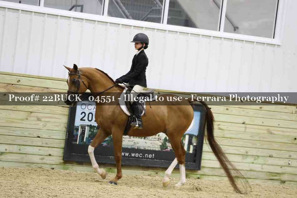 Proof 22BUCK_04551
