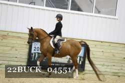 22BUCK_04551 proof