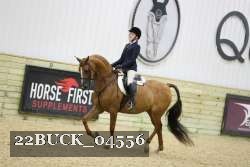 22BUCK_04556 proof