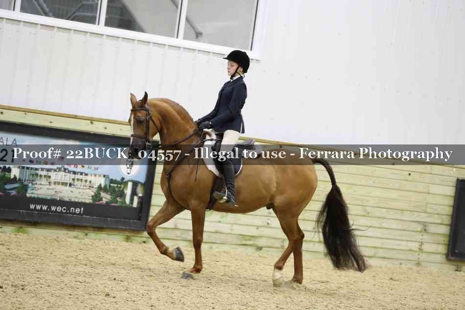 Proof 22BUCK_04557