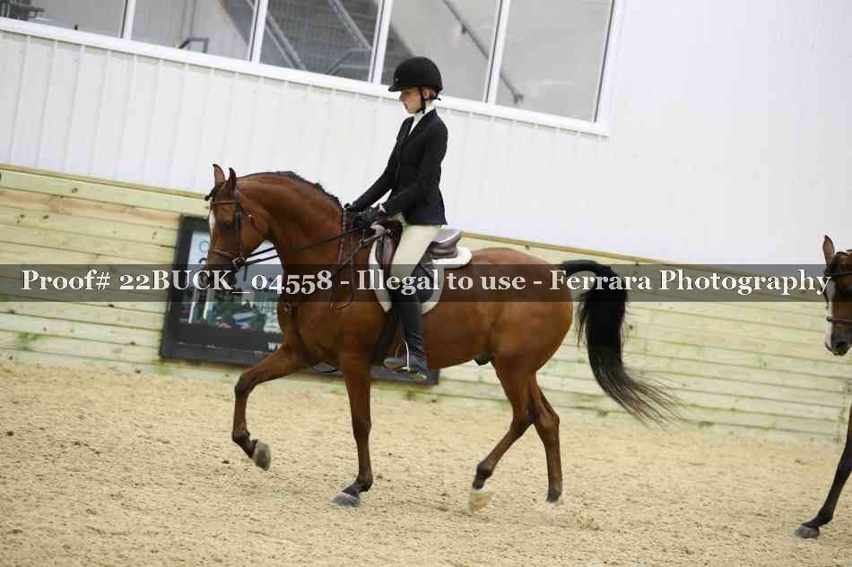 Proof 22BUCK_04558