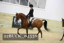22BUCK_04558 proof