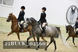 22BUCK_04560 proof