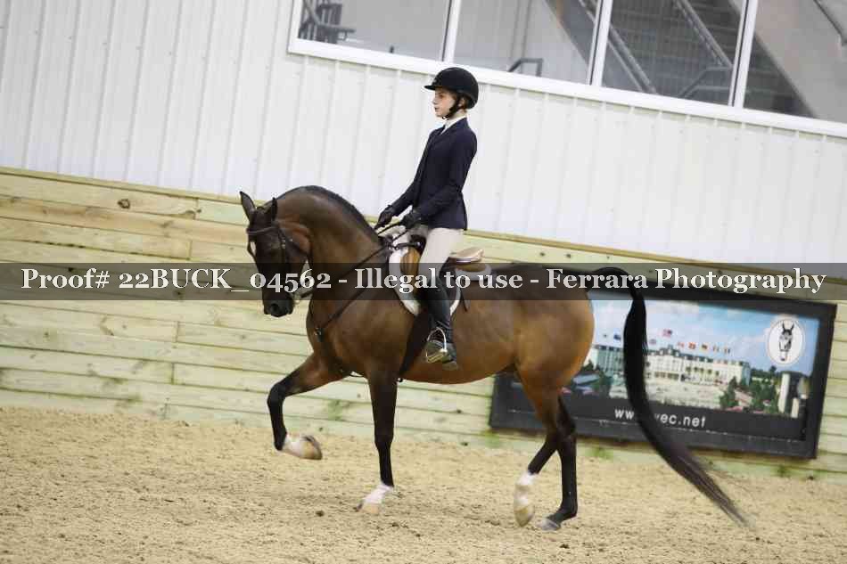 Proof 22BUCK_04562