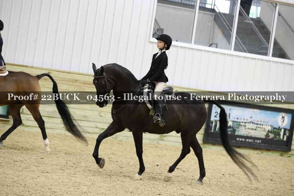 Proof 22BUCK_04563