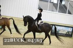 22BUCK_04563 proof