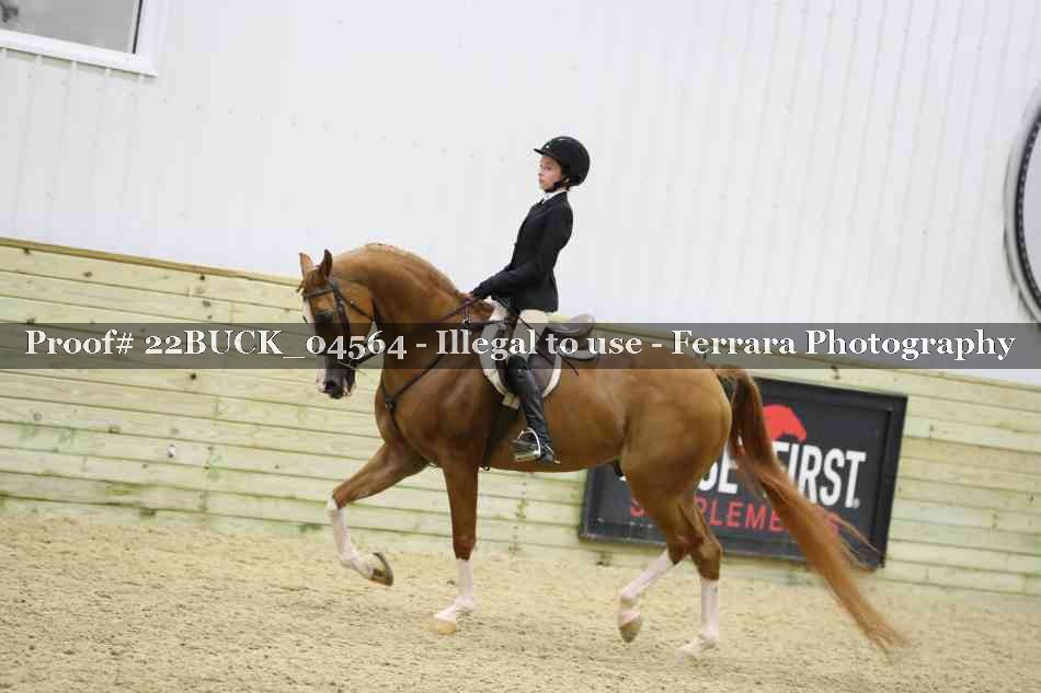 Proof 22BUCK_04564